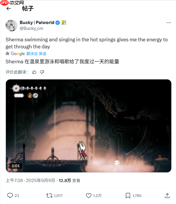 太可爱了！《空洞骑士：丝之歌》玩家一致喜爱NPC“谢尔玛”！