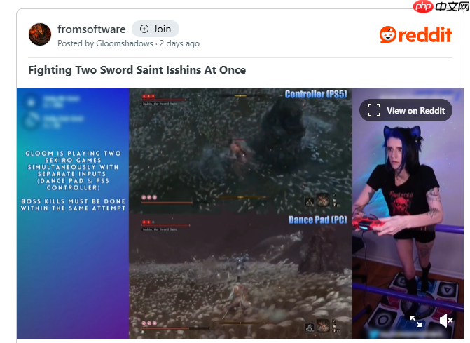 还能这么玩？美女高玩手脚同时玩两个《只狼》成功双杀总BOSS