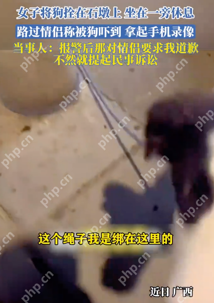 女子将狗拴在石墩上，坐在一旁休息,路过情侣称被狗吓到要求道歉 - php中文网
