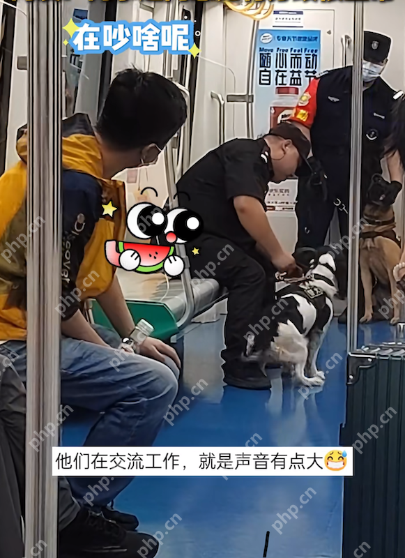 两只警犬在地铁上吵架 网友:同事之间意见有分歧很正常 - php中文网