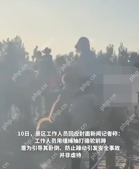 游客拍骆驼挨打被要求删视频是怎么回事?详情介绍 - php中文网