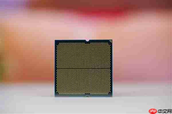 新一代的千元神U！AMD锐龙5 9500F处理器图赏