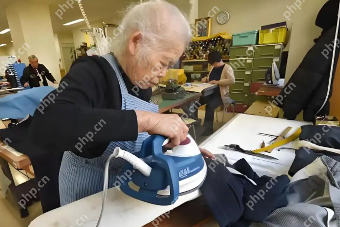 “银发革命”浪潮:退休还是“再就业”的新起点? - php中文网