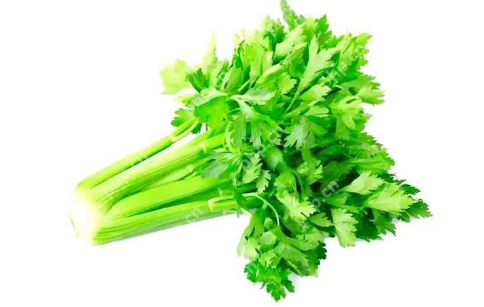 告别浪费:超实用的家庭常见蔬菜保鲜技巧大全 - php中文网