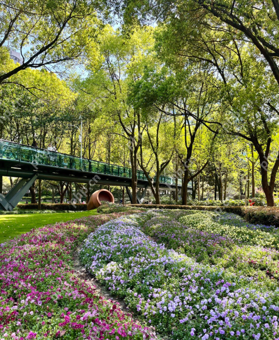 上海提前完成“千园之城”建设目标，公园总数达1013座 - php中文网