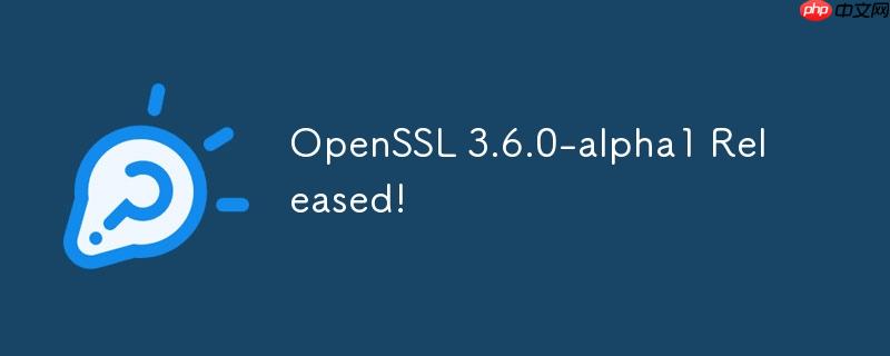 OpenSSL 3.6.0-alpha1 发布