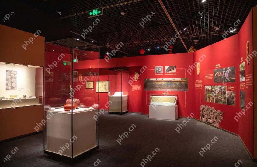 三星堆“龙的国度”大展开幕!青铜龙、玉龙等百余件文物重磅亮相,溯源中华龙文化 - php中文网