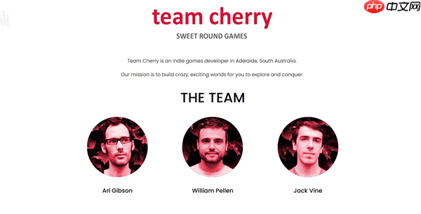 没想到大家最想玩的是《空洞骑士:丝之歌》不负6年等待