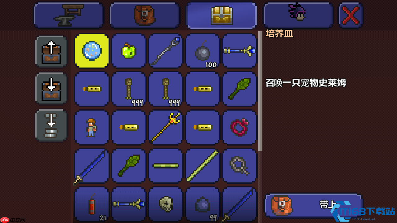 泰拉瑞亚照明宠物攻略：发光小伙伴全收集指南