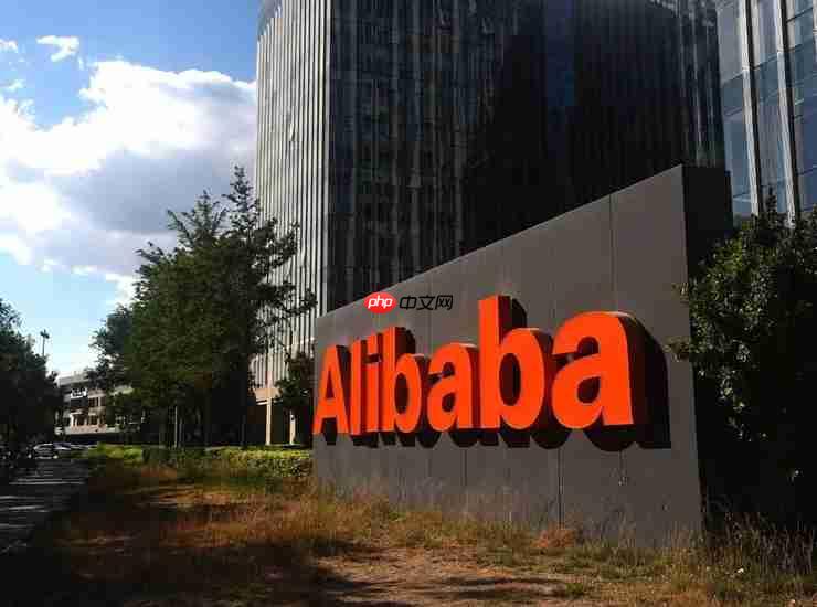 重投AI，阿里起飞