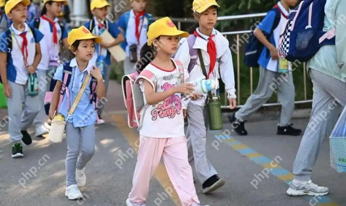 “子涵梓萱”过时了!新一代家长取名爱上“国风”,扶苏、知潼成新宠 - php中文网