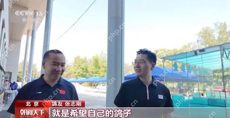 8万羽和平鸽全部来自北京民间鸽友!阅兵式万鸽齐飞的震撼场面,他们如何做到? - php中文网