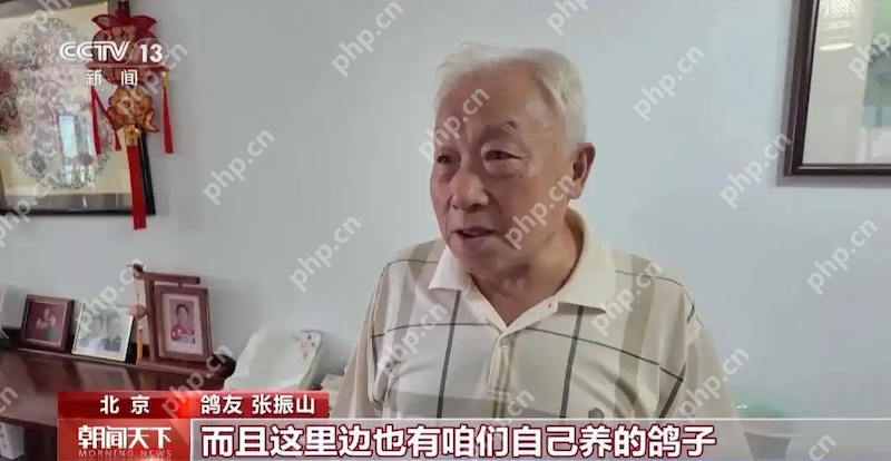 8万羽和平鸽全部来自北京民间鸽友!阅兵式万鸽齐飞的震撼场面,他们如何做到? - php中文网