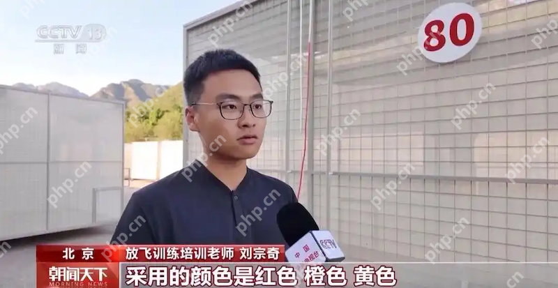 8万羽和平鸽全部来自北京民间鸽友!阅兵式万鸽齐飞的震撼场面,他们如何做到? - php中文网