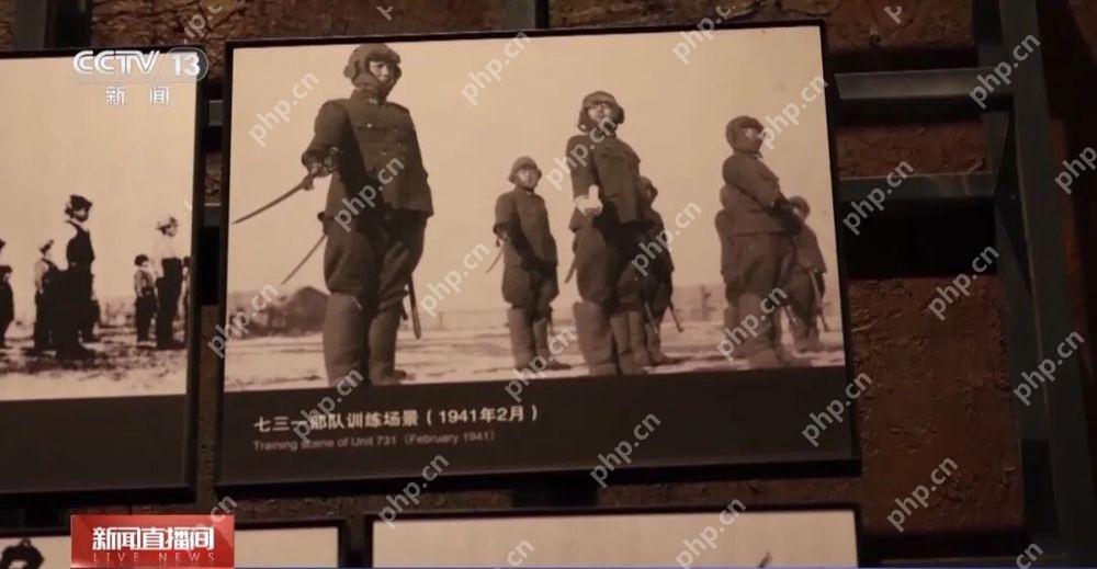 新罪证揭秘：侵华日军731部队的“少年班” - php中文网