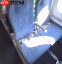 网友拍到千亿总裁魏建军坐经济舱 陈震：可能就没有公务舱