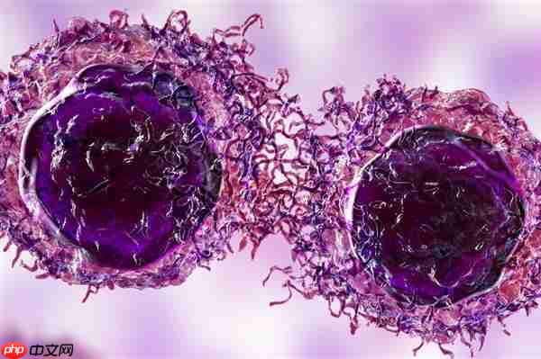 网红Coser“若童”因肠癌去世:年仅32岁