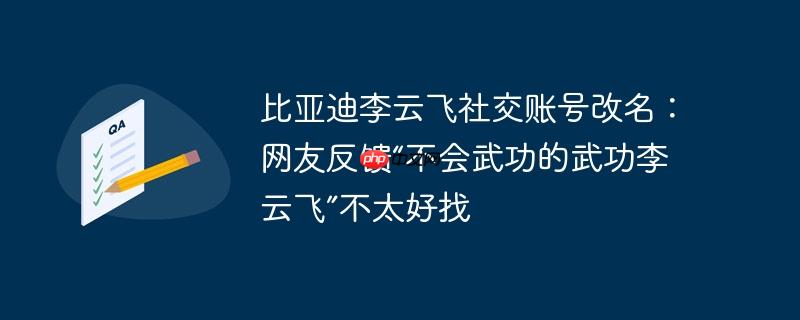 比亚迪李云飞社交账号改名：网友反馈“不会武功的武功李云飞”不太好找