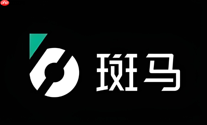 阿里巴巴:斑马股份拟于香港联交所主板独立上市