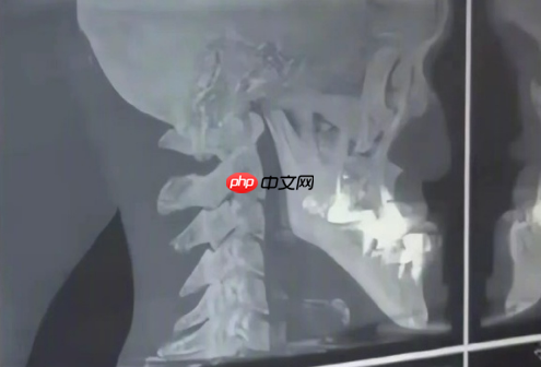 男子因拥有“世界上最长的下巴”走红 拍视频月入6位数