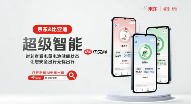 比亚迪电池与京东汽车达成合作,上线全网首家官方店铺