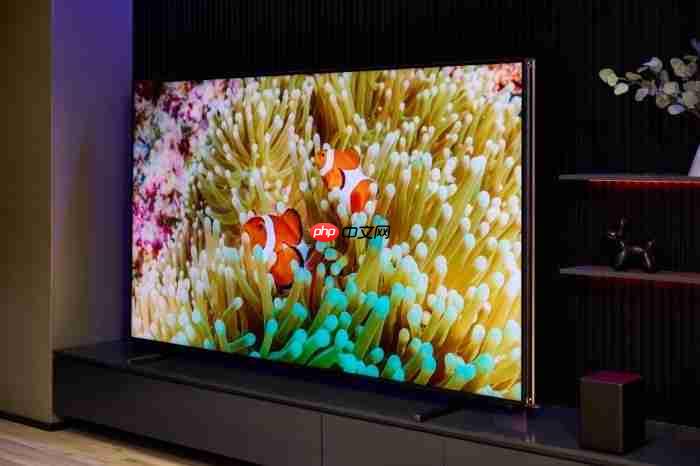 百吋电视适配指南：不同客厅如何拥抱巨幕体验？