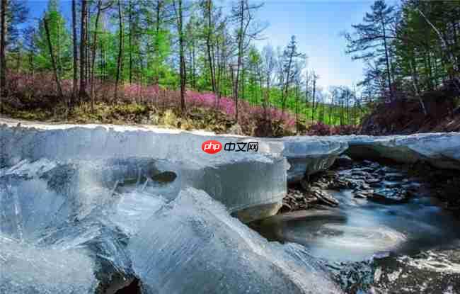 全国目光锁定阿尔山!这场大会为何选在这里?