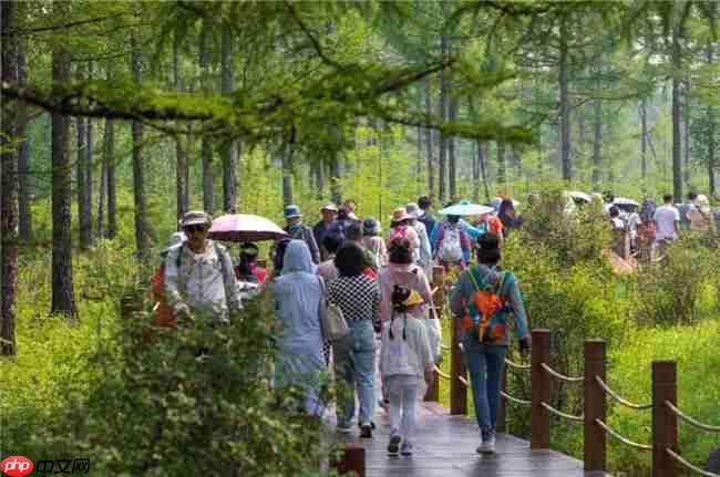 全国目光锁定阿尔山!这场大会为何选在这里?