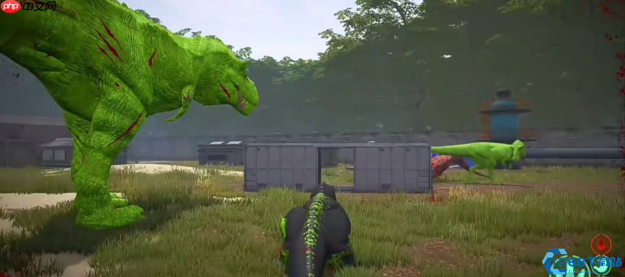 神龙进化指南:解锁远古龙魂的终极力量