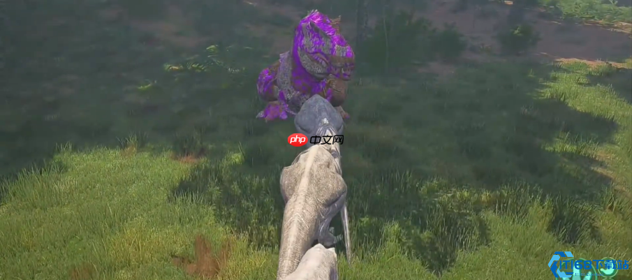 神龙进化指南:解锁远古龙魂的终极力量