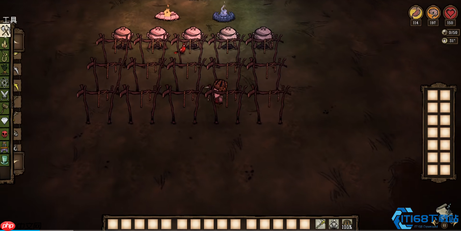 生存大师基地选址指南：四大黄金地段优劣势全解析