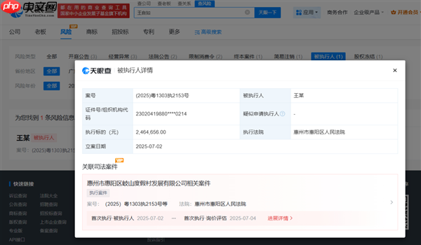 进军AI领域二次创业后 王自如再成被执行人 执行标的超246万