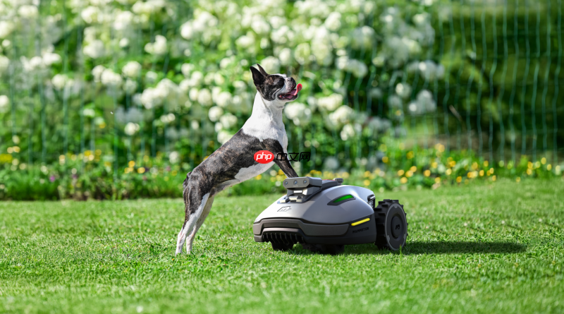 零安装割草时代,库犸Mammotion发布三目视觉割草机器人