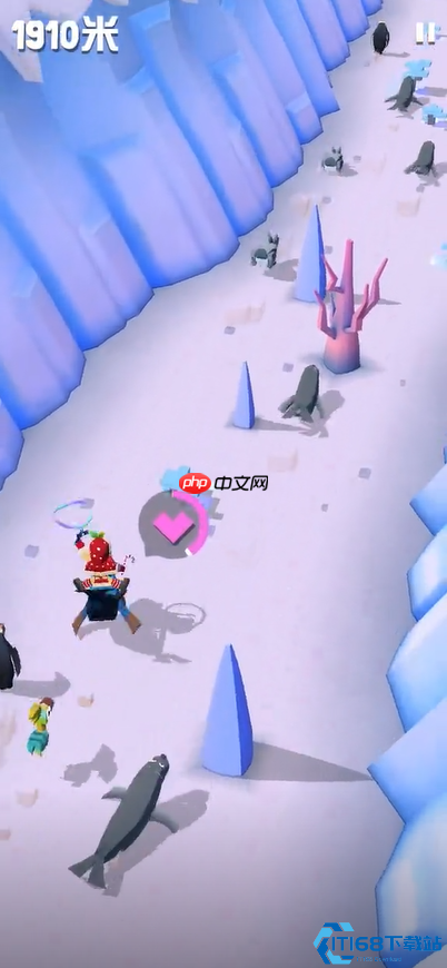 极地海豹全图鉴捕获指南:从刷新规律到稀有品种攻略