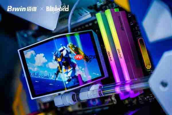 焕然一新 搏至无憾！佰维存储携手TES战队登陆Bilibili World 2025！