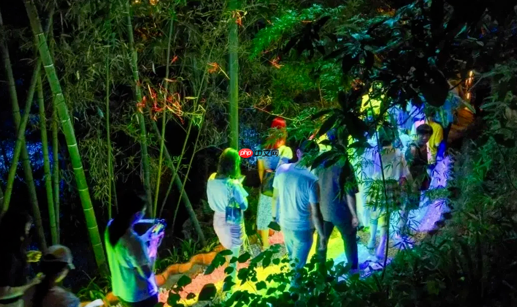 夜游赋能“银发经济”:光影如何引燃万亿康养市场