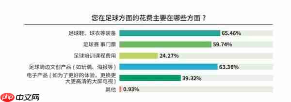 《中国足球环境及未来发展白皮书(2025)》发布:100吋大屏电视成球迷客厅新标配