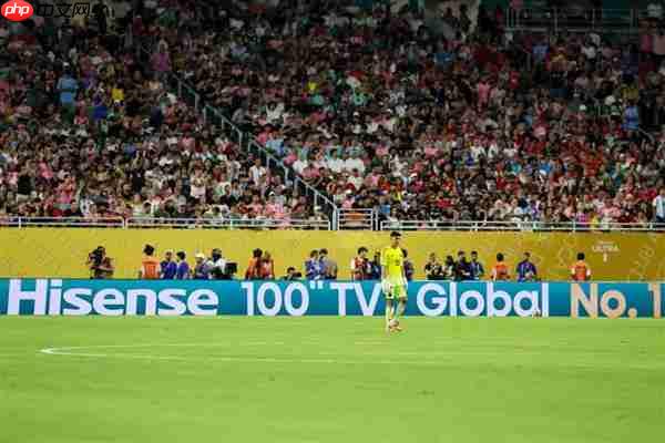 《中国足球环境及未来发展白皮书(2025)》发布:100吋大屏电视成球迷客厅新标配