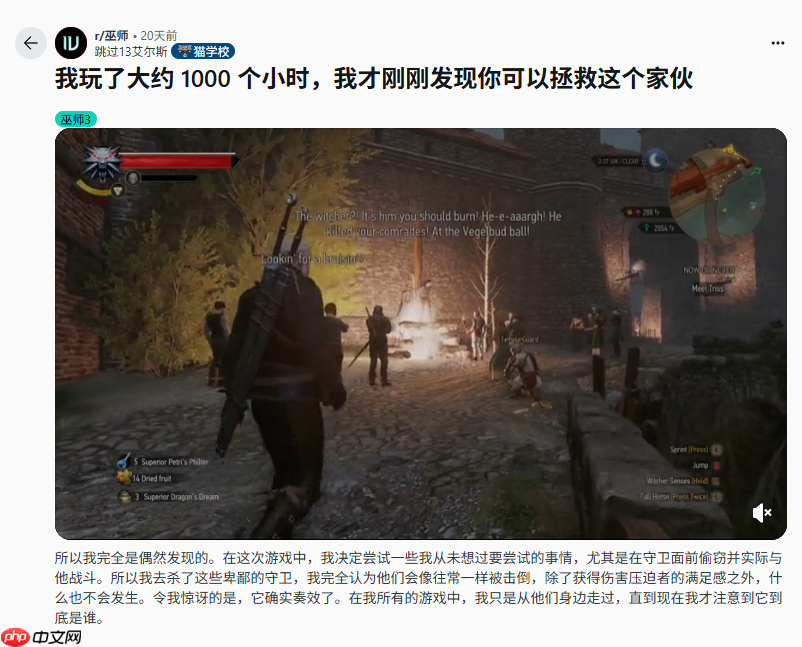 《巫师3》游玩1000小时玩家惊喜发现:这个角色能救?