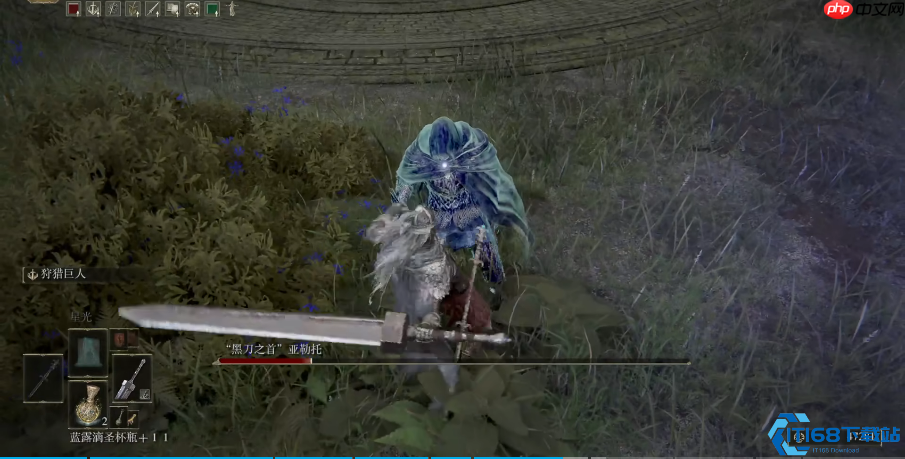 艾尔登法环新人开荒全攻略:四流派解析与保姆级技巧