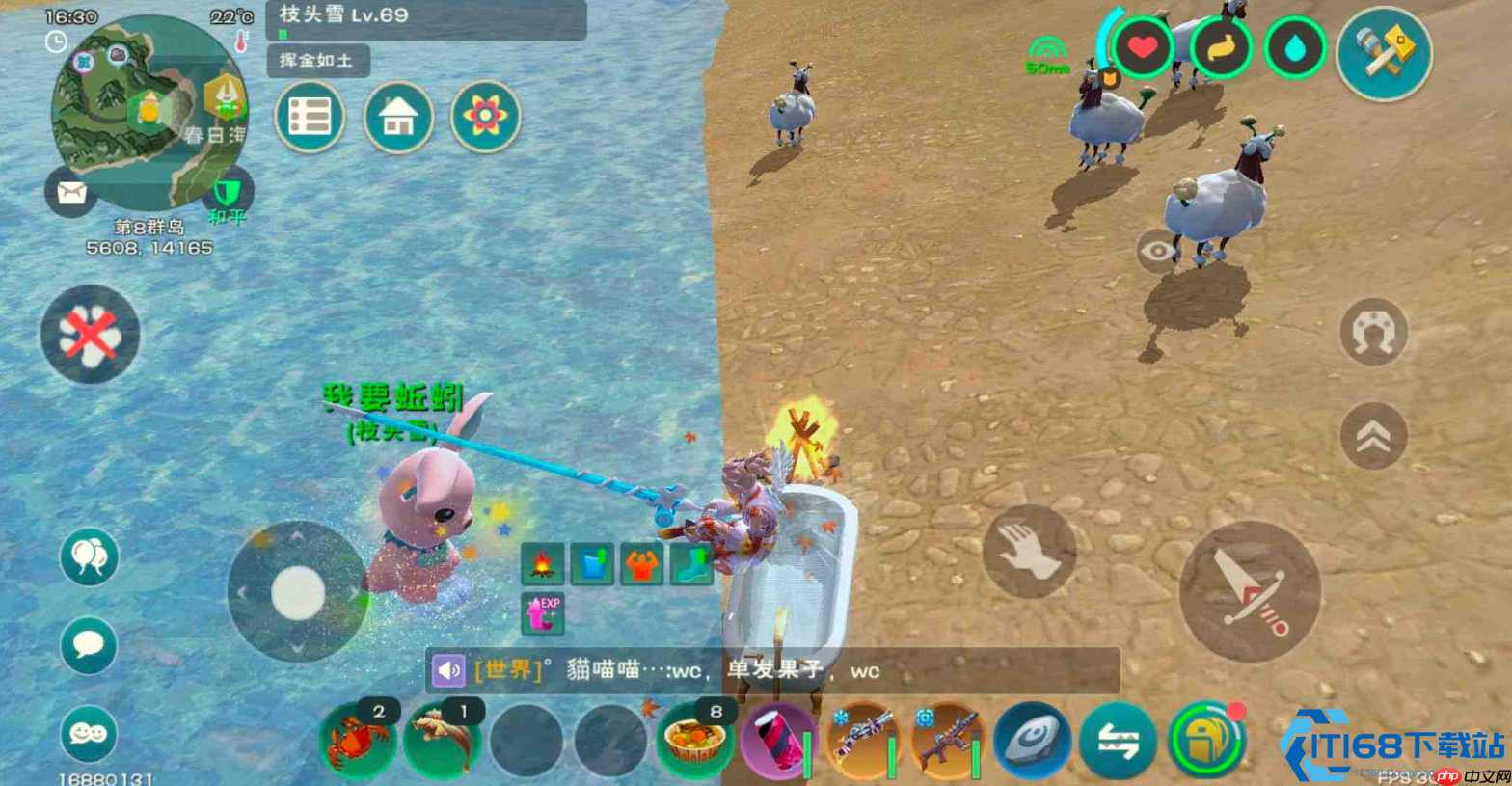 弹涂鱼饲料包终极指南:从钓鱼到驯服顽皮蝾螈