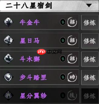 二十八星宿剑深度解析:紫色神兵中的实战王者