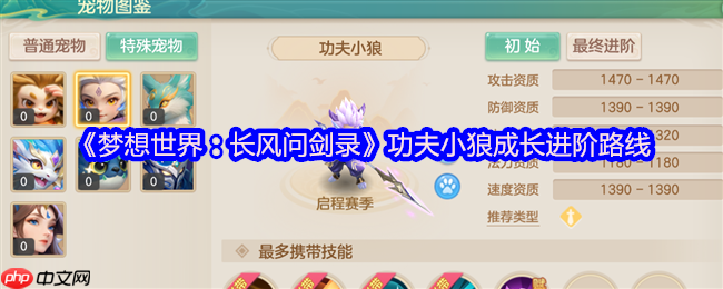 梦想世界功夫小狼终极培养指南:首充神宠进阶全解