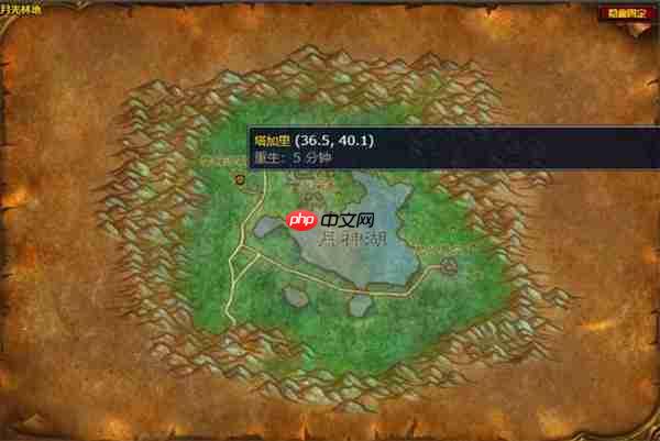 魔兽世界德鲁伊水栖形态任务全攻略:速通秘籍与海豚变身指南