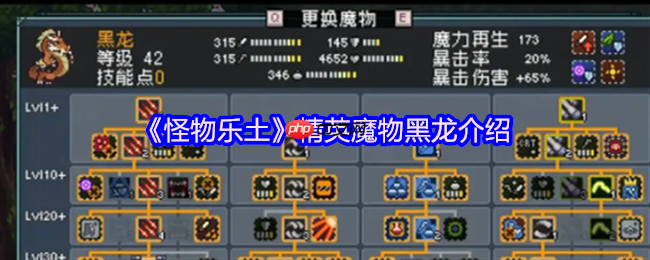 怪物乐土地下世界霸主:暴击目盲双修,龙队核心输出黑龙终极解析