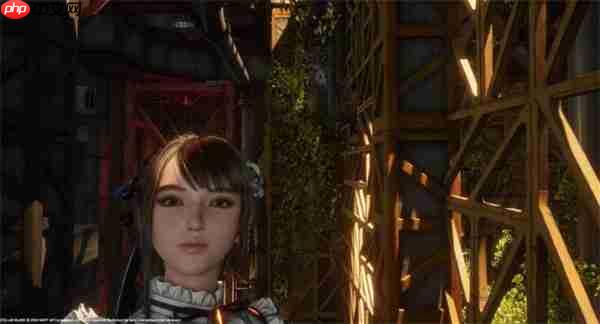 剑星猫咪摄影展全收集!10只隐藏猫咪位置大揭秘