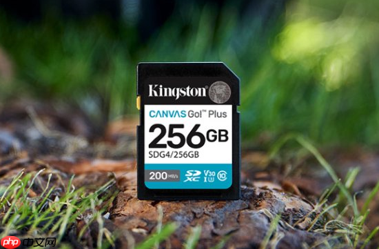 一卡走天下 金士顿Canvas Go!Plus系列存储卡