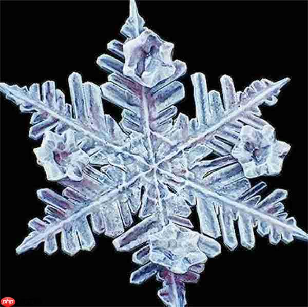 冰封利刃降临！光与影33号远征队吕涅雪结终极获取指南