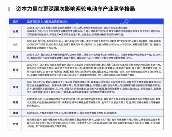 鲁大师2024年两轮电动车行业调研报告