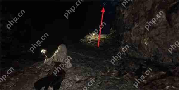 光与影 33 号远征队繁叶结获取攻略：阴森洞穴寻宝指南